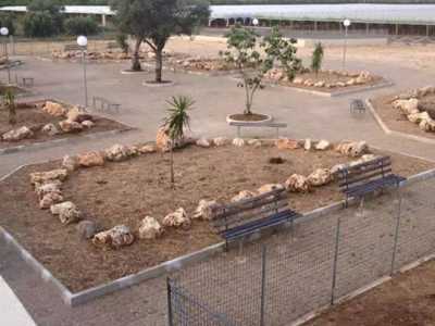 Uno scatto del parco canile appena terminato, quando la vegetazione spontanea non aveva ancora nascosto panchine, piante e aiuole (foto del gruppo facebook Movimento Civico per Sannicandro)